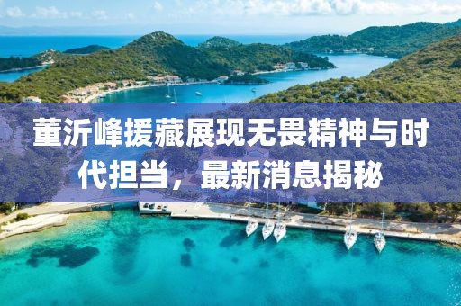 董沂峰援藏展現(xiàn)無(wú)畏精神與時(shí)代擔(dān)當(dāng)，最新消息揭秘