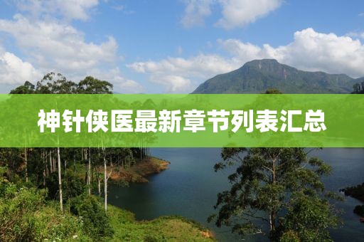 神針俠醫(yī)最新章節(jié)列表匯總