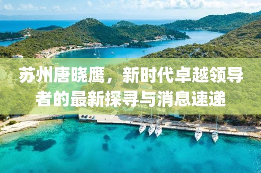 蘇州唐曉鷹，新時代卓越領導者的最新探尋與消息速遞