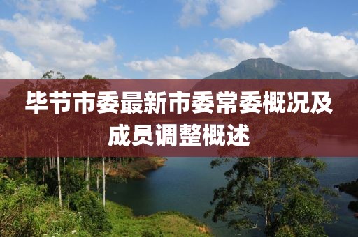 畢節(jié)市委最新市委常委概況及成員調(diào)整概述