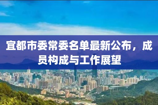 宜都市委常委名單最新公布，成員構成與工作展望