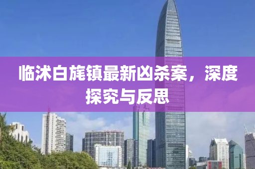 臨沭白旄鎮(zhèn)最新兇殺案，深度探究與反思
