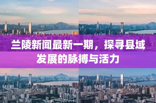 蘭陵新聞最新一期，探尋縣域發(fā)展的脈搏與活力