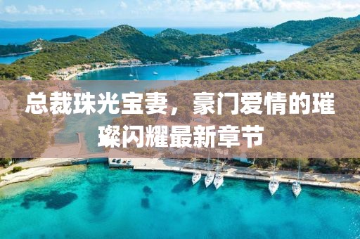 總裁珠光寶妻，豪門愛情的璀璨閃耀最新章節(jié)
