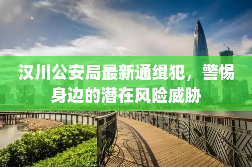 漢川公安局最新通緝犯，警惕身邊的潛在風險威脅