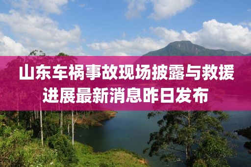 山東車禍事故現(xiàn)場披露與救援進展最新消息昨日發(fā)布