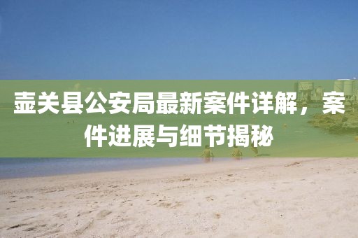壺關(guān)縣公安局最新案件詳解，案件進展與細節(jié)揭秘