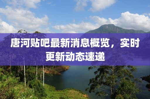 唐河貼吧最新消息概覽，實時更新動態(tài)速遞