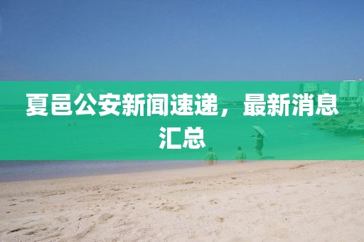 夏邑公安新聞速遞，最新消息匯總