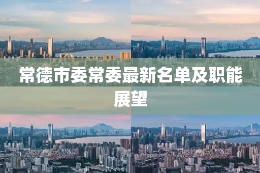 常德市委常委最新名單及職能展望