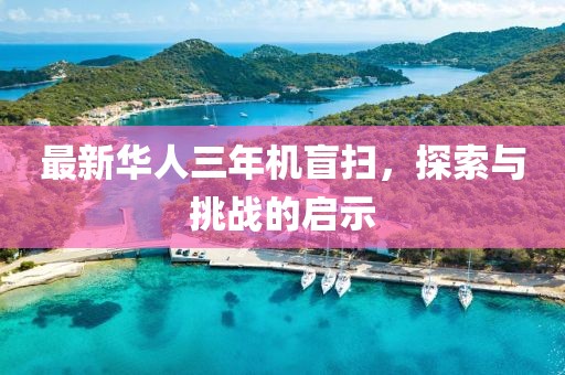 最新華人三年機盲掃，探索與挑戰(zhàn)的啟示