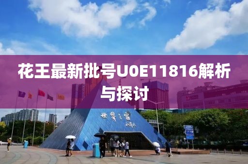 花王最新批號U0E11816解析與探討