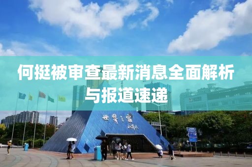 何挺被審查最新消息全面解析與報道速遞