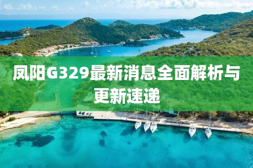 鳳陽G329最新消息全面解析與更新速遞