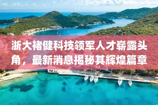 浙大褚健科技領(lǐng)軍人才嶄露頭角，最新消息揭秘其輝煌篇章