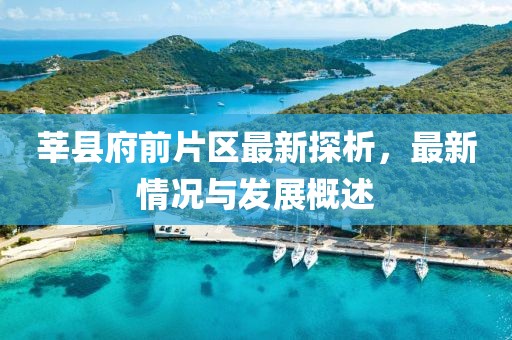 莘縣府前片區(qū)最新探析，最新情況與發(fā)展概述