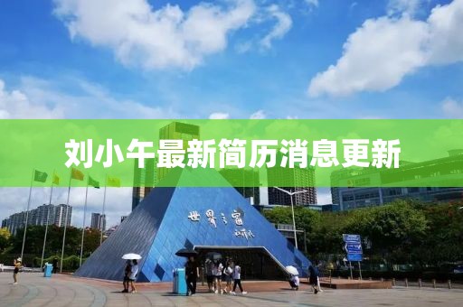劉小午最新簡(jiǎn)歷消息更新
