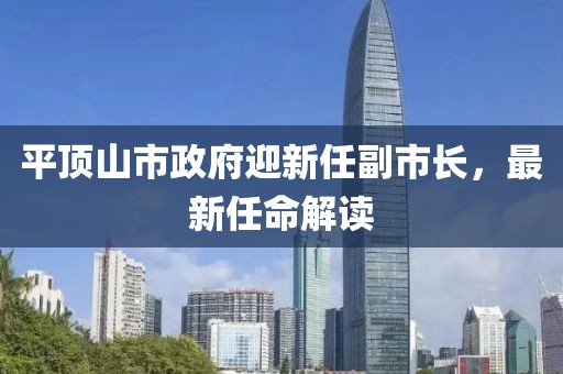 平頂山市政府迎新任副市長(zhǎng)，最新任命解讀
