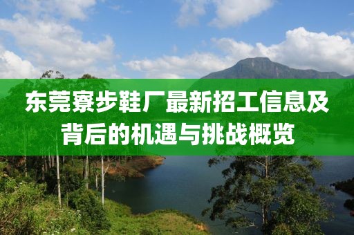 東莞寮步鞋廠(chǎng)最新招工信息及背后的機(jī)遇與挑戰(zhàn)概覽