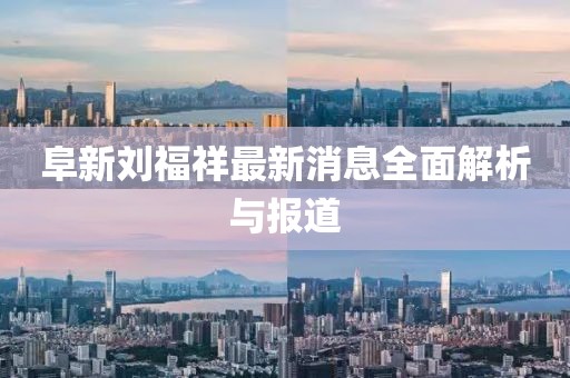 阜新劉福祥最新消息全面解析與報(bào)道