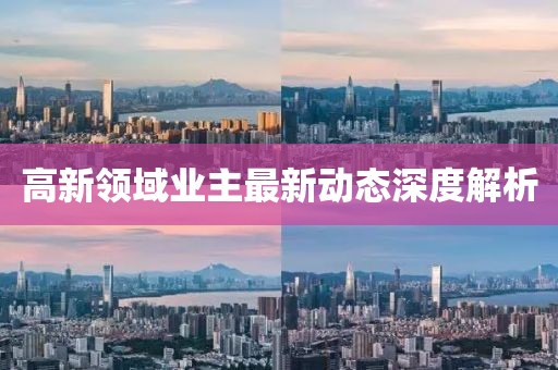 高新領(lǐng)域業(yè)主最新動態(tài)深度解析