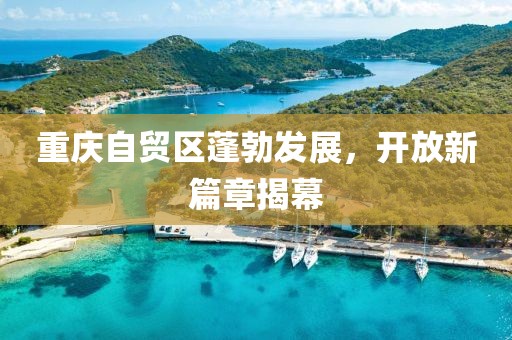 重慶自貿(mào)區(qū)蓬勃發(fā)展，開放新篇章揭幕