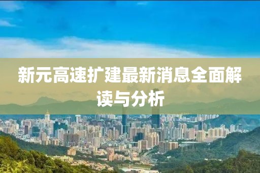 新元高速擴建最新消息全面解讀與分析