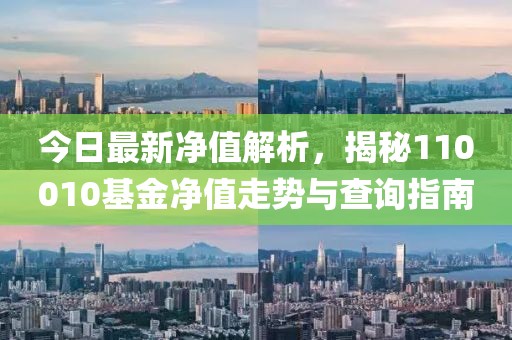今日最新凈值解析，揭秘110010基金凈值走勢(shì)與查詢(xún)指南