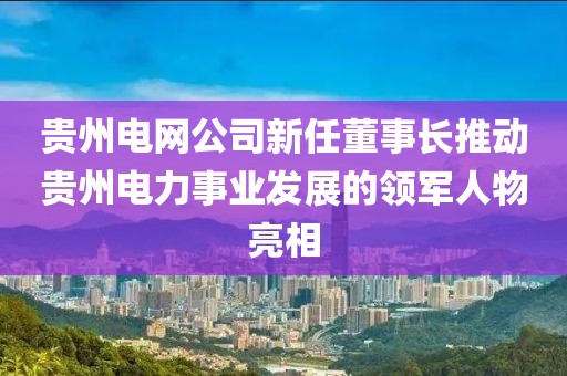 貴州電網(wǎng)公司新任董事長推動貴州電力事業(yè)發(fā)展的領軍人物亮相
