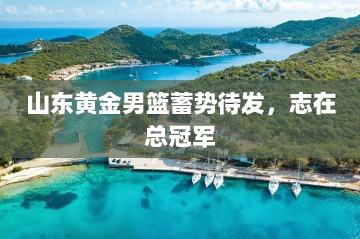 山東黃金男籃蓄勢(shì)待發(fā)，志在總冠軍