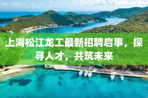 上海松江龍工最新招聘啟事，探尋人才，共筑未來