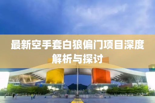 最新空手套白狼偏門項(xiàng)目深度解析與探討