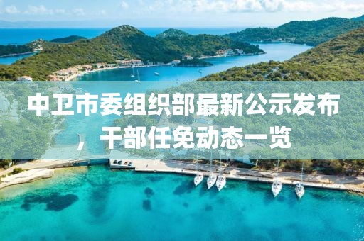 中衛(wèi)市委組織部最新公示發(fā)布，干部任免動態(tài)一覽