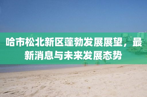哈市松北新區(qū)蓬勃發(fā)展展望，最新消息與未來發(fā)展態(tài)勢