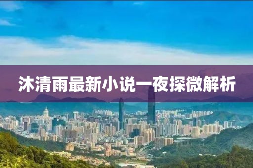 沐清雨最新小說一夜探微解析