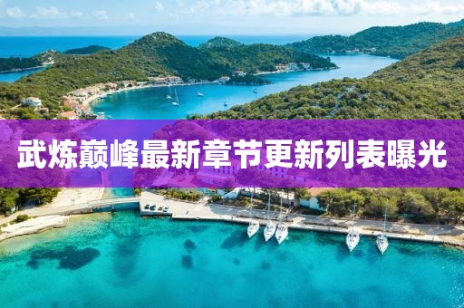 武煉巔峰最新章節(jié)更新列表曝光