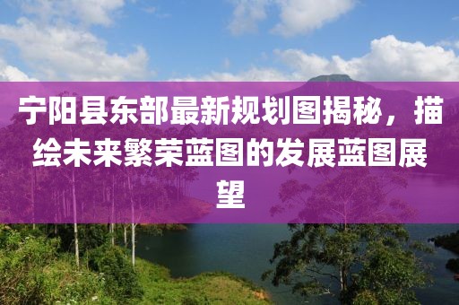 寧陽縣東部最新規(guī)劃圖揭秘，描繪未來繁榮藍圖的發(fā)展藍圖展望