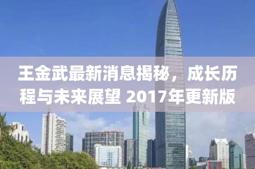 王金武最新消息揭秘，成長歷程與未來展望 2017年更新版
