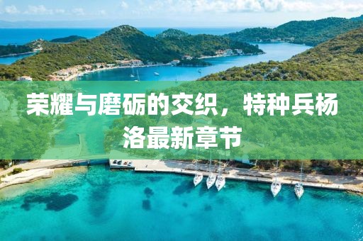 榮耀與磨礪的交織，特種兵楊洛最新章節(jié)