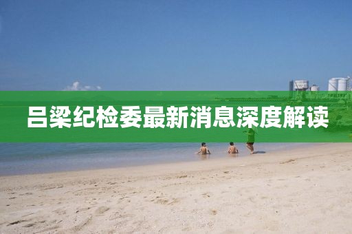 呂梁紀檢委最新消息深度解讀