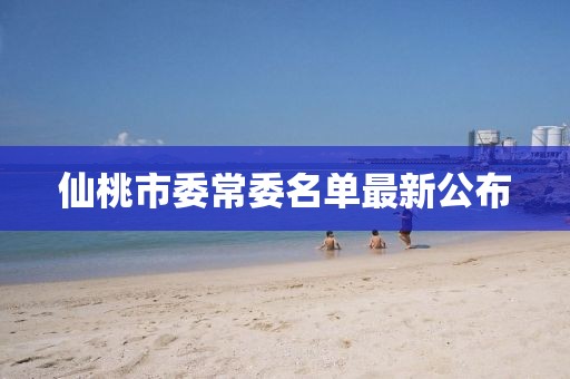 仙桃市委常委名單最新公布