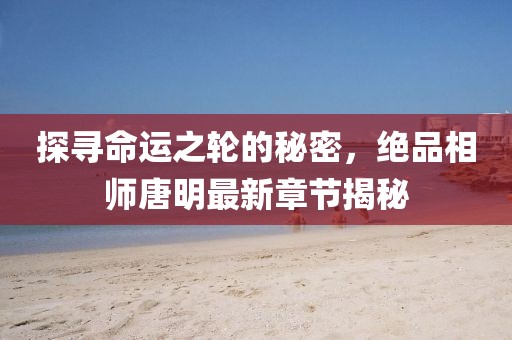 探尋命運之輪的秘密，絕品相師唐明最新章節(jié)揭秘