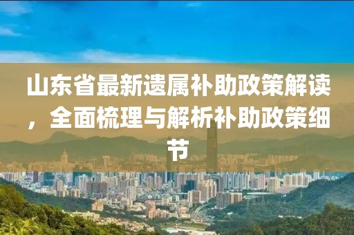 山東省最新遺屬補(bǔ)助政策解讀，全面梳理與解析補(bǔ)助政策細(xì)節(jié)
