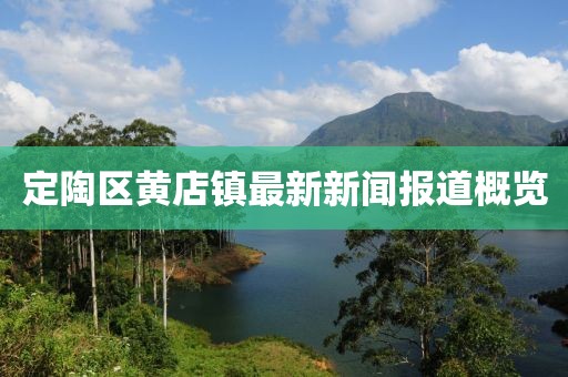 定陶區(qū)黃店鎮(zhèn)最新新聞報(bào)道概覽