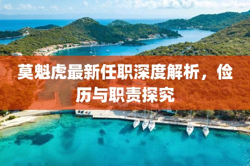 莫魁虎最新任職深度解析，儉歷與職責(zé)探究