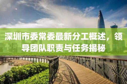 深圳市委常委最新分工概述，領(lǐng)導(dǎo)團(tuán)隊職責(zé)與任務(wù)揭秘