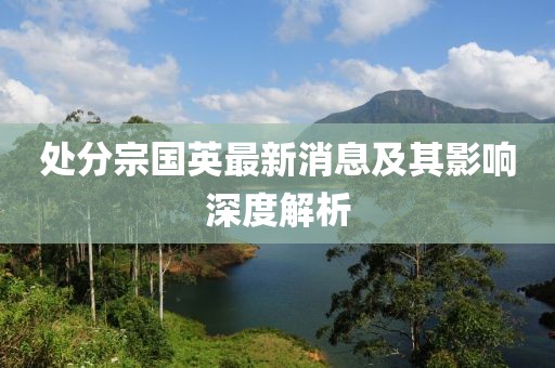 處分宗國英最新消息及其影響深度解析