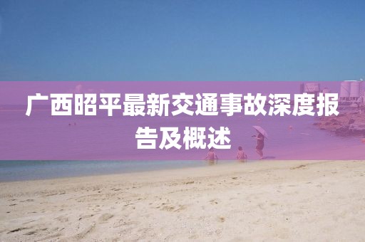 廣西昭平最新交通事故深度報告及概述