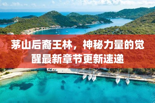 茅山后裔王林，神秘力量的覺(jué)醒最新章節(jié)更新速遞