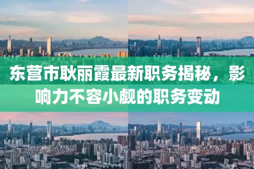 東營市耿麗霞最新職務(wù)揭秘，影響力不容小覷的職務(wù)變動